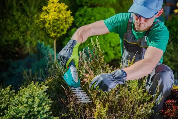 landscaping services Creve Coeur